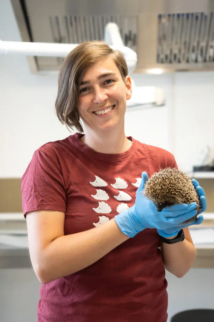 Wildtierpflegerin der Igel-Hilfe Schweiz hält einen Igel im Arm